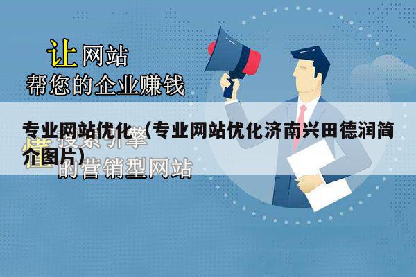 专业网站优化（专业网站优化济南兴田德润简介图片）